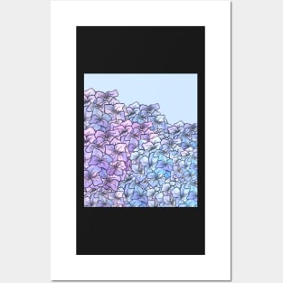 Hydrangeas Posters and Art